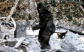 Bigfoot-1
