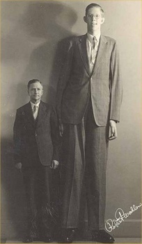 Robert-Wadlow