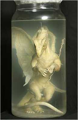 06Pickleddragon