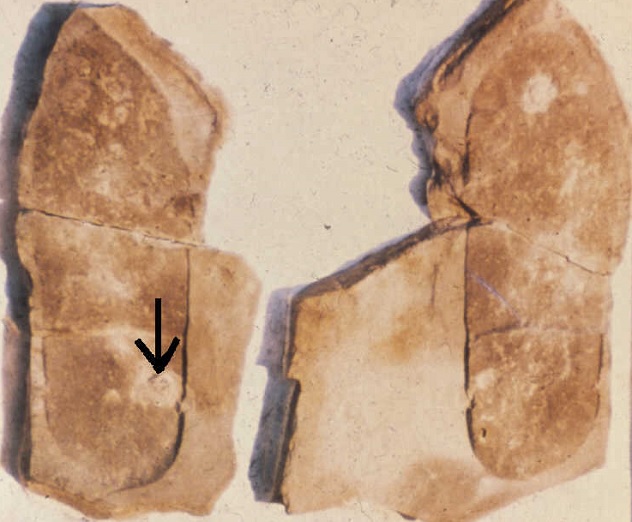 footprints