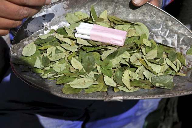 5 coca