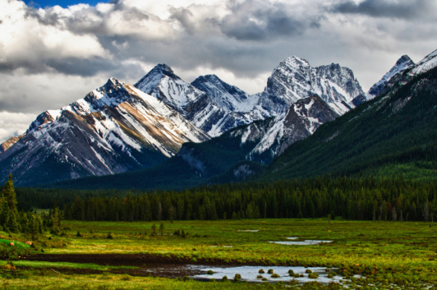 6 rockies