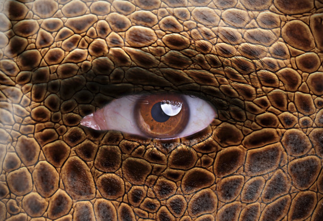 Dragon face