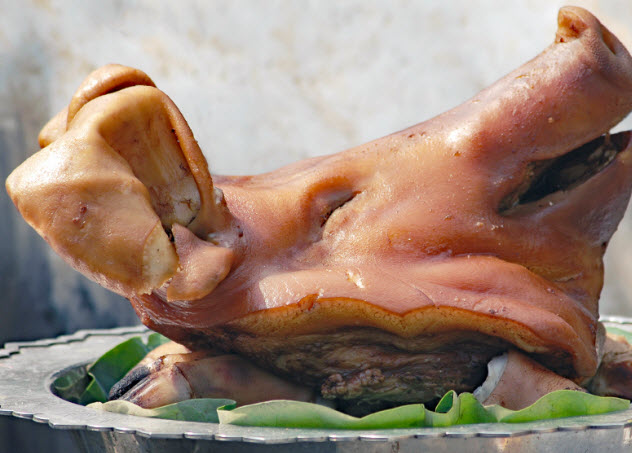 5-pig-head_000084892195_Small