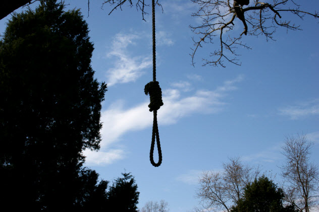 6-noose-tree_1970753_SMALL