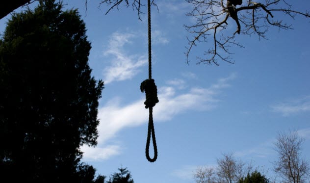 8a-hanging-tree_1970753_SMALL