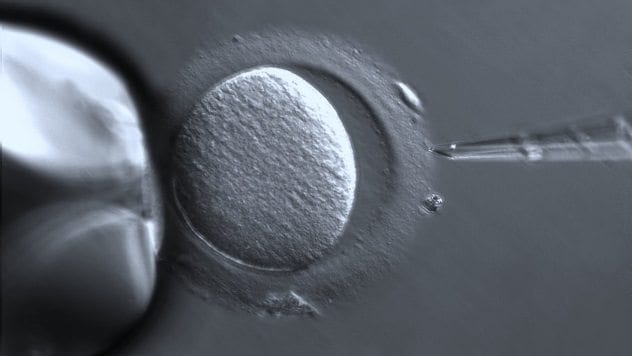 nucleus-replacement