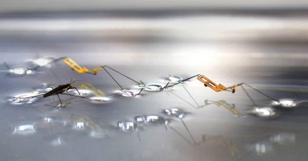 2-water-leaping-robot