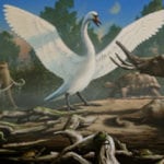10 Awesome Extinct Animals People Don't Talk About Nearly Enough