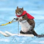 10 Offbeat Stories You Might Have Missed This Week (7/28/18)