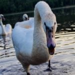 10 Offbeat Stories You Might Have Missed Last Week (7/2/18)