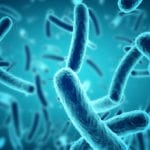 10 Bizarre Finds And Projects Involving Bacteria