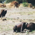 10 Stories Behind Incredible Pulitzer Prize--Winning Photographs