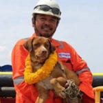 10 Unusual Studies And Stories About Dogs