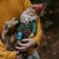 Garden Gnomes