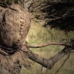10 Chilling Cases Of Corpse Abuse