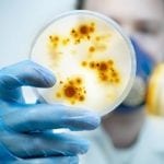 Top 10 Reasons To Believe the Wuhan Virology Lab Caused 2019-nCoV