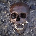 Top 10 Incredible Pieces Of Archaeology Pulled From The Trash