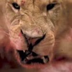 10 Horrific Things That Happened During Movie Filming