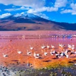 Top 10 Crazy Things Nature Does On A Massive Scale