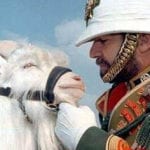 Top 10 Animals Given High Honors