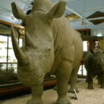 Top 10 Attractions To Visit For A Weird Tour Of Europe