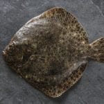 10 Bitter Conflicts Fought Over Seafood