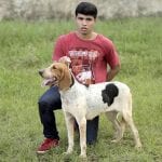 Top 10 Popular Dog Breeds That Don't Exist Anymore