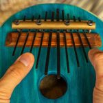 Top 10 Bizarre Musical Instruments You Rarely See Today