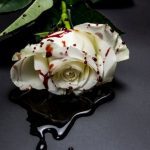 10 Cases of Mothers Slain by Their Own Children on Mother's Day